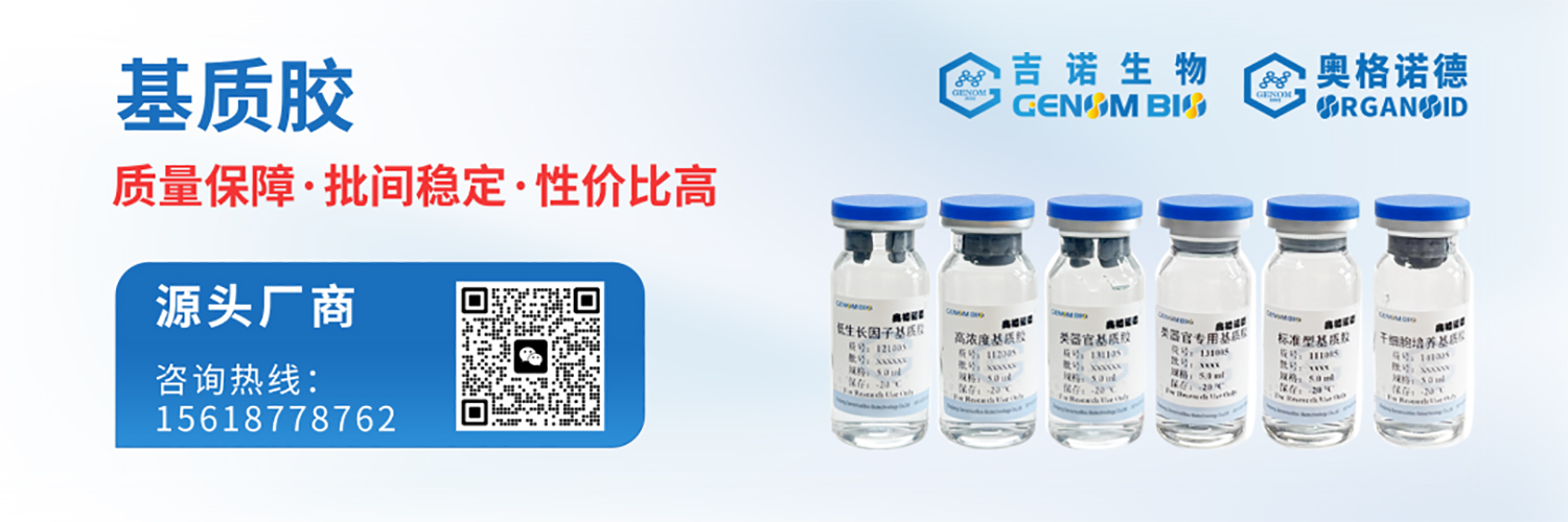 1764507147130851.jpg 640 拷贝.jpg