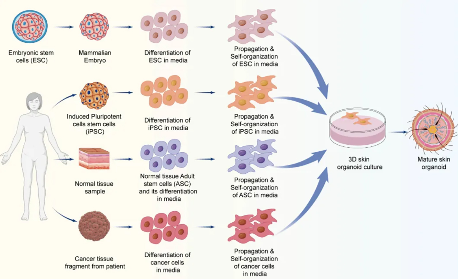 1764507307731797.jpg Weixin Image_20251130205429_132_59 拷贝.jpg