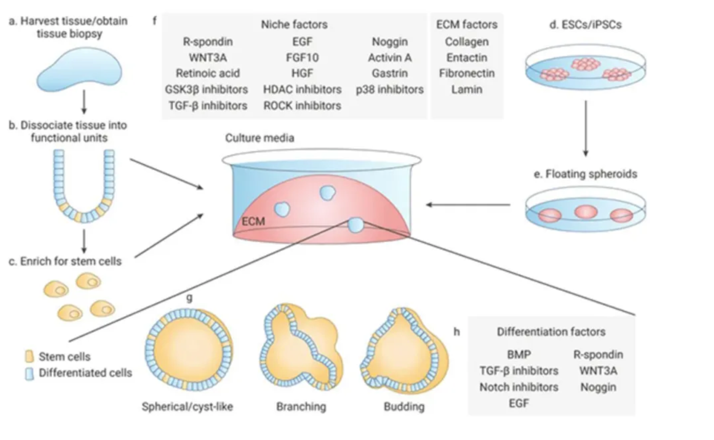 1764507371118848.png Weixin Image_20251130205548_133_59.png