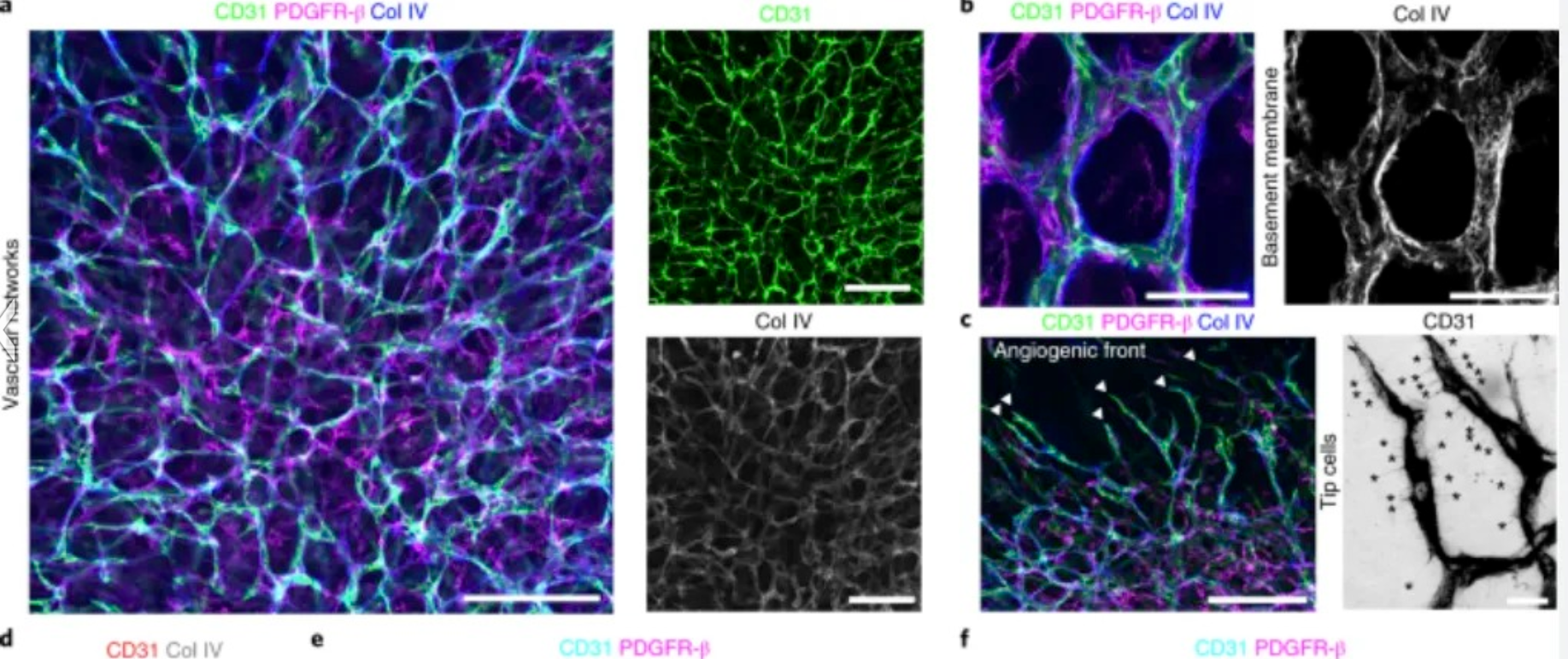 1764507433265298.png Weixin Image_20251130205658_135_59.png