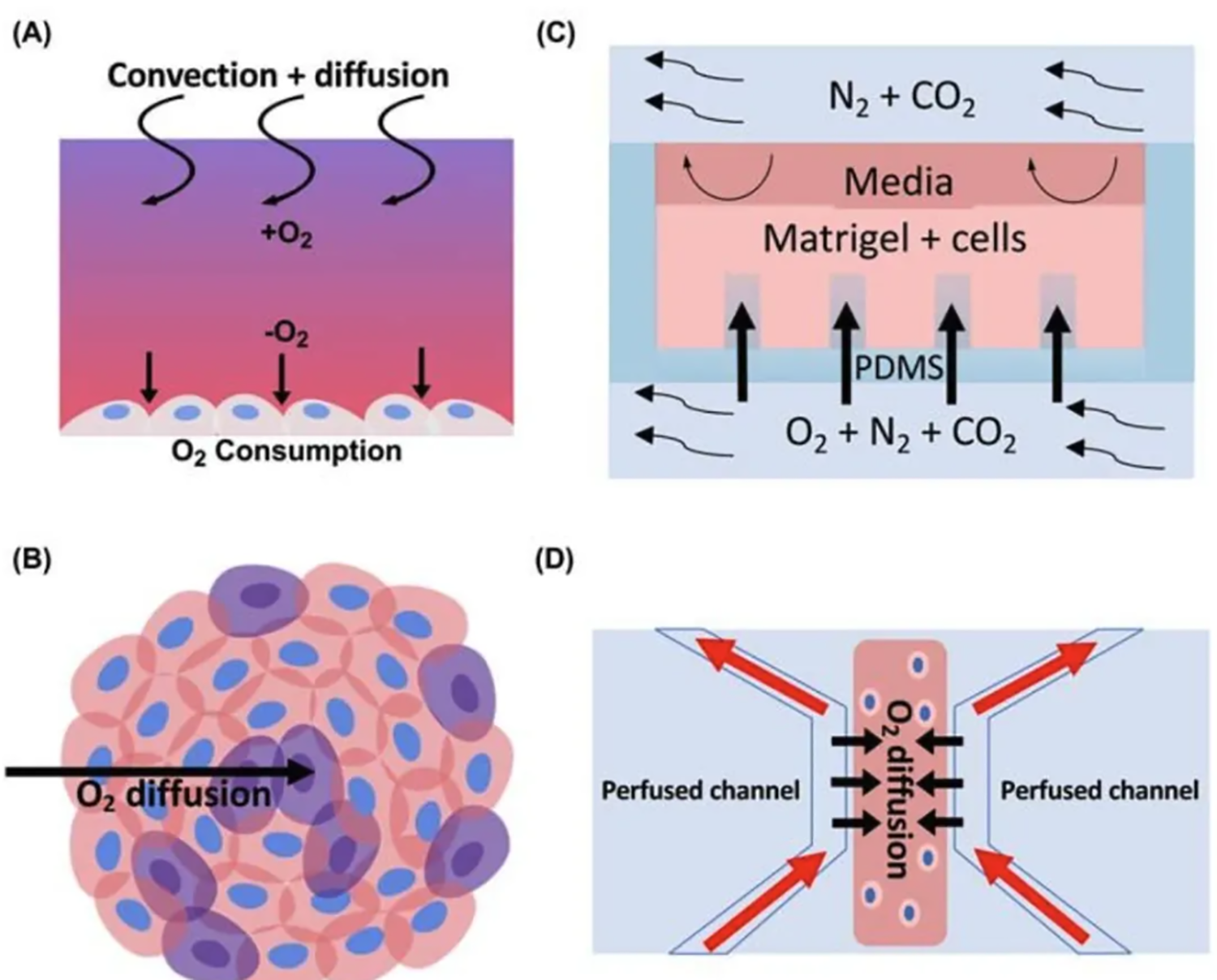 1764507561365049.png Weixin Image_20251130205841_138_59 拷贝副本.png