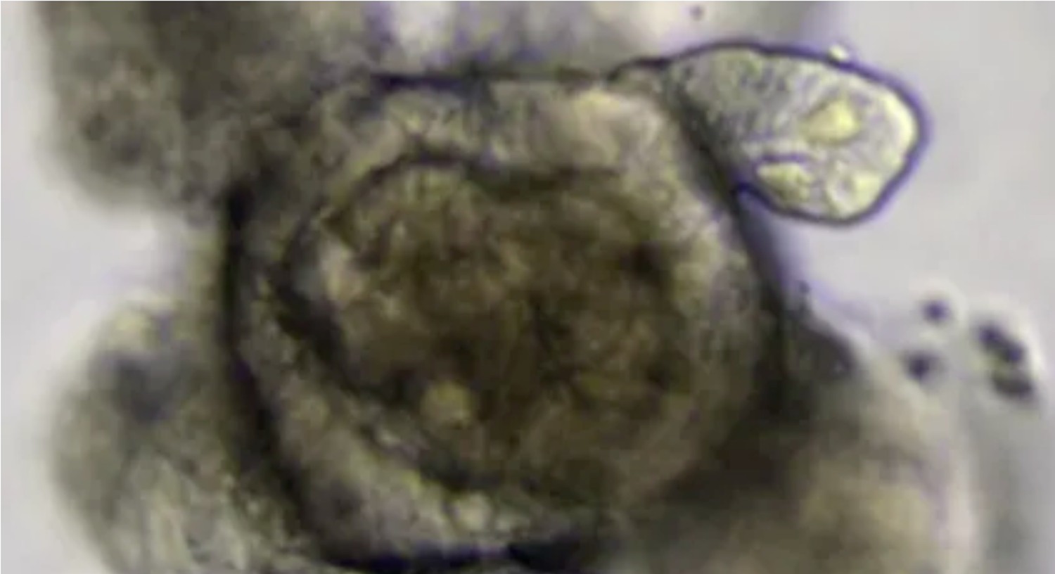 1764554410272339.png Weixin Image_20251201095338_139_59.png