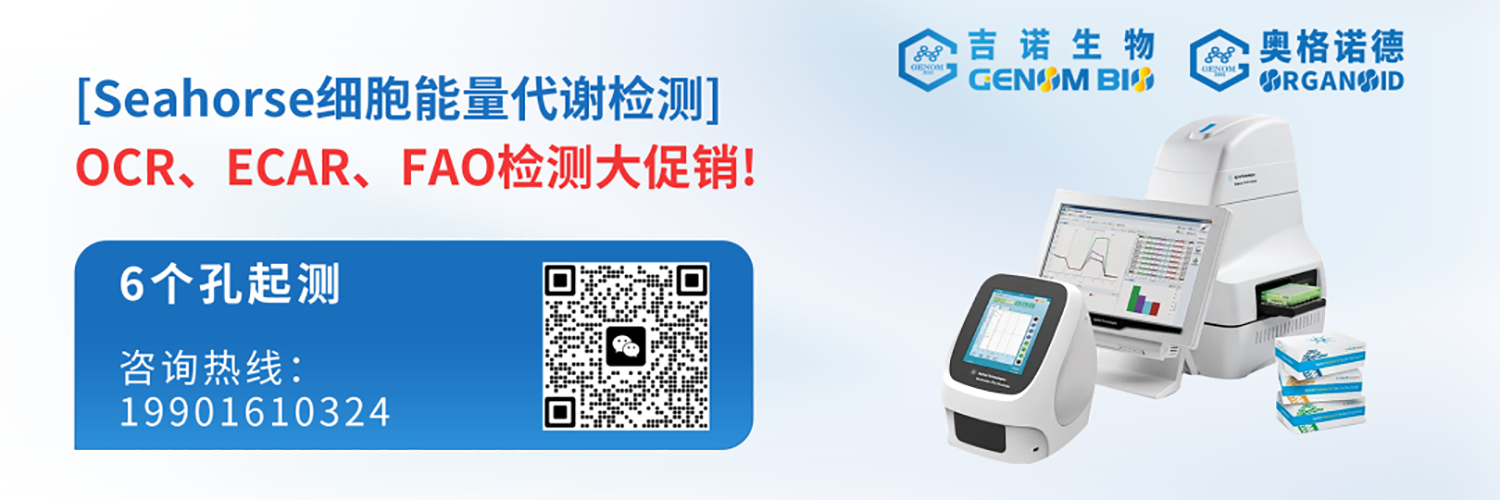 Weixin Image_20260206112027_238_59.png