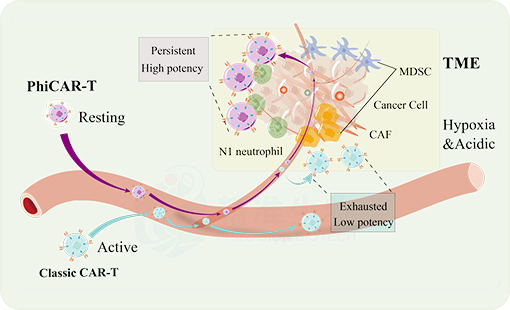 1770349091544649.png 1.png