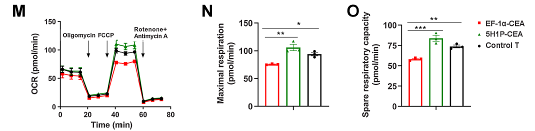 1770349281691668.png 640 (2).png