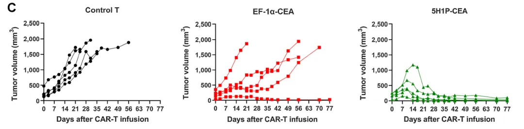 1770349308522259.png 3.PNG