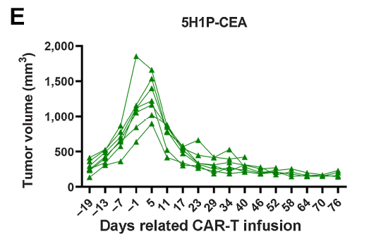 1770349315730388.png 640.png