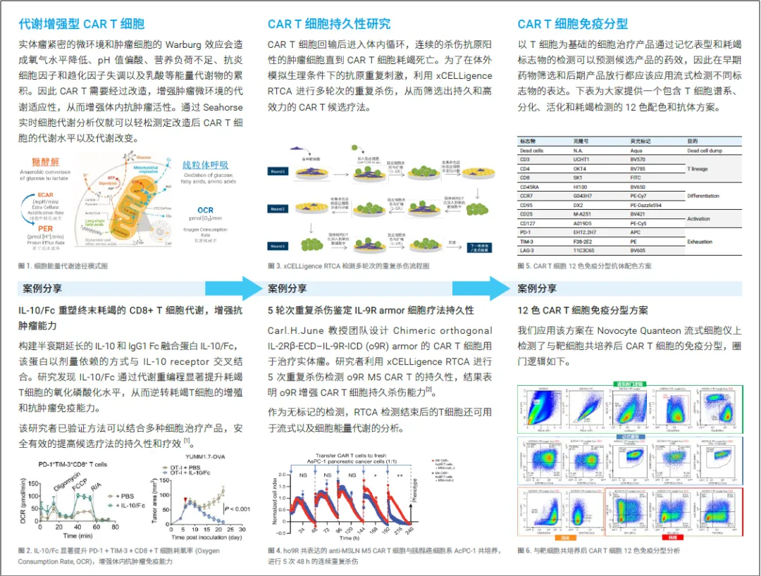 1770349339189007.png 4.PNG