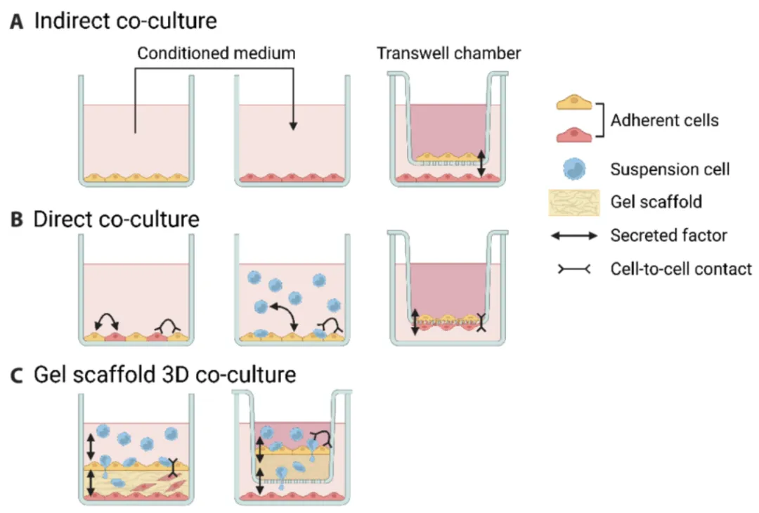 1772070771736692.png 1.png