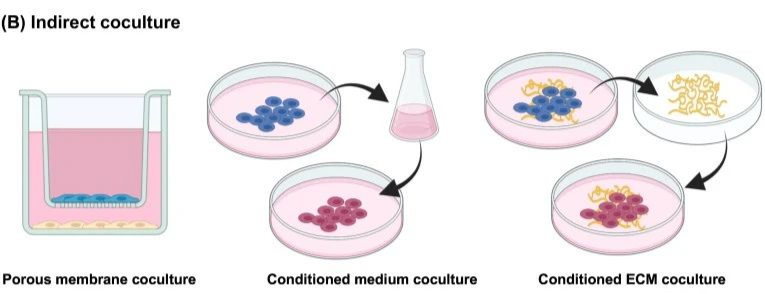 1772070892489055.png 3.png