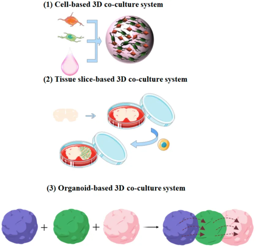 1772070921177985.png 4.png