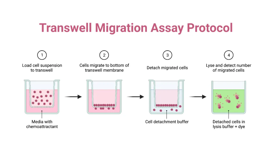 1772070951617545.png 5.png