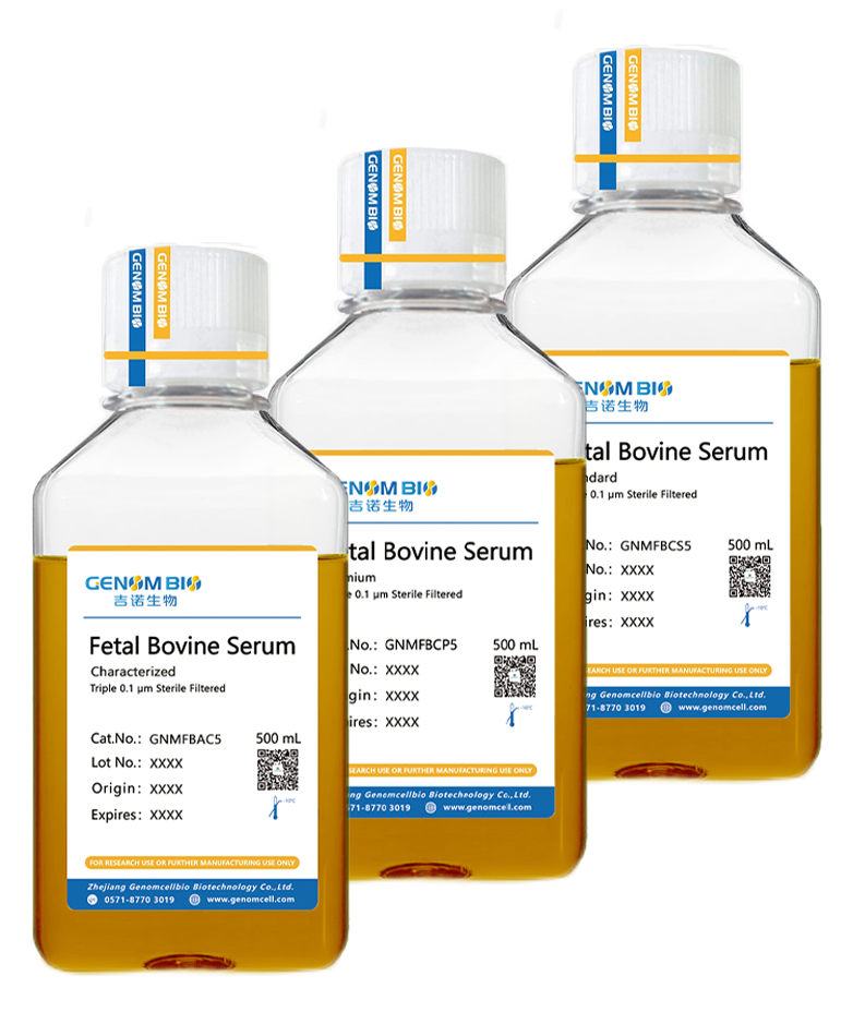 胎牛血清（特级），货号：GNMFBAC5 拷贝.png